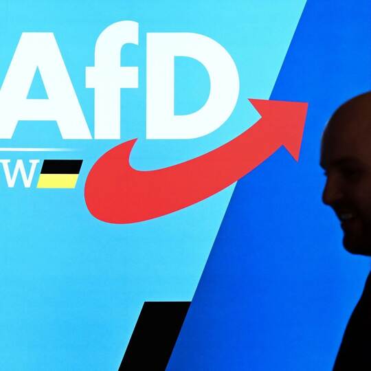 AfD-Landesparteitag