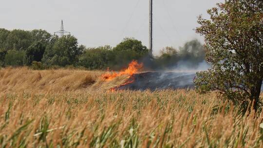 Flächenbrand in Mannheim-Neckarstadt Flächenbrand in Mannheim-Neckarstadt