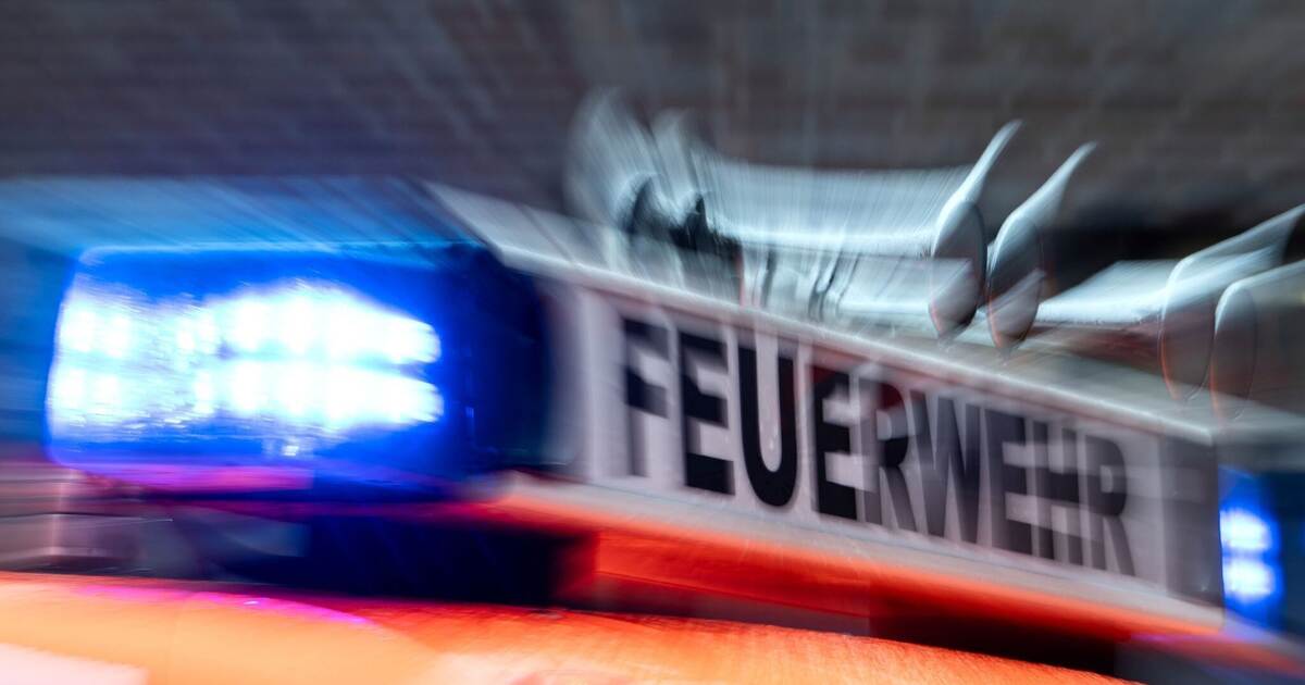 After a brush fire near Göbrichen: Did someone set fire to a tree stump ...