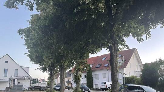 Der Pfadweg in Wimsheim. Auf der Wiese neben der ehemaligen TSV-Halle soll eine Flüchtlings- und Obdachlosenunterkunft entstehen