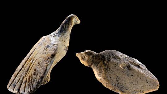 Mini-Vögel aus Elfenbein in Unesco-Höhle entdeckt
