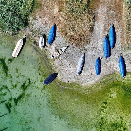 Bodensee hat Niedrigwasser Bodensee hat Niedrigwasser