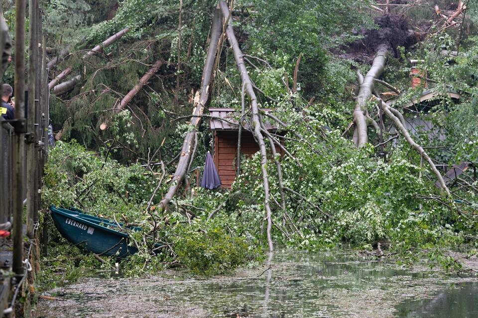 Sturmschäden Sächsische Schweiz Sturmschäden Sächsische Schweiz