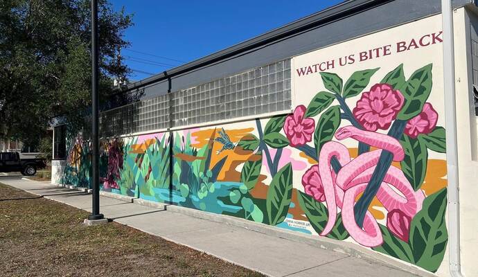 Buchverbote in den USA nehmen zu: Autorin eröffnet in Gainesville Buchladen für verbotene Werke