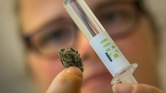 Medikamente aus Cannabiswirkstoff Medikamente aus Cannabiswirkstoff