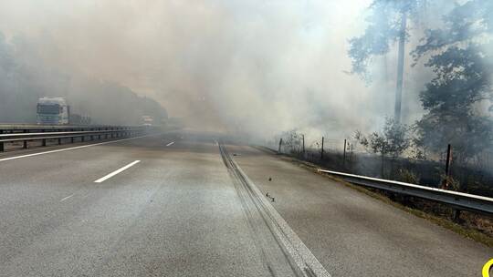 Geplatzter Lkw-Reifen löst Waldbrand aus Geplatzter Lkw-Reifen löst Waldbrand aus