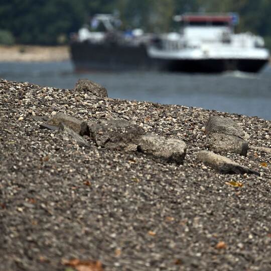 Niedrigwasser im Rhein