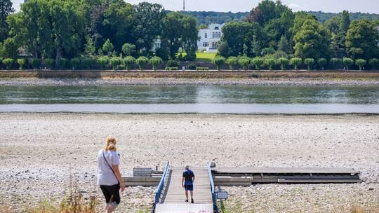 Niedrigwasser im Rhein