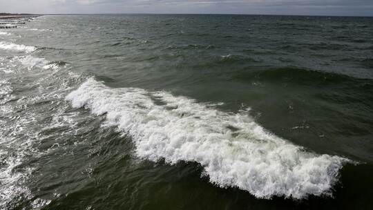 Wal-Sichtung vor Polens Ostseeküste.