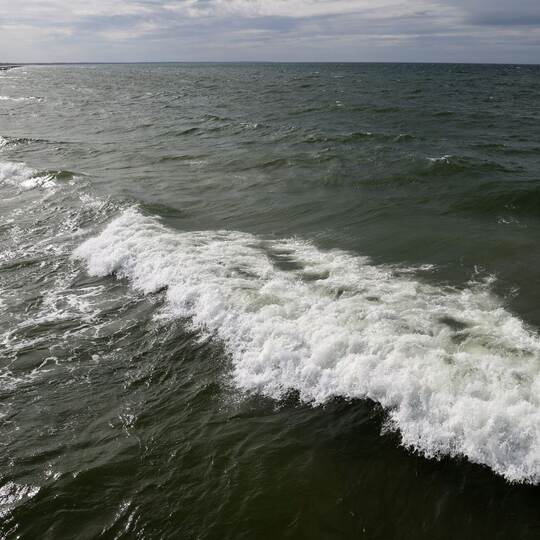 Wal-Sichtung vor Polens Ostseeküste.