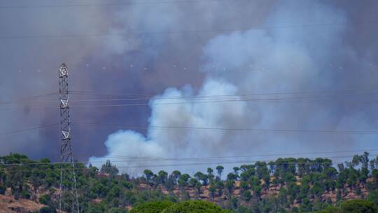 Waldbrand in Spanien Waldbrand in Spanien