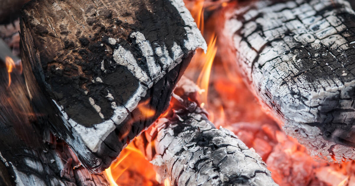 Forest fire danger in Pforzheim: City bans grilling at several barbecue ...