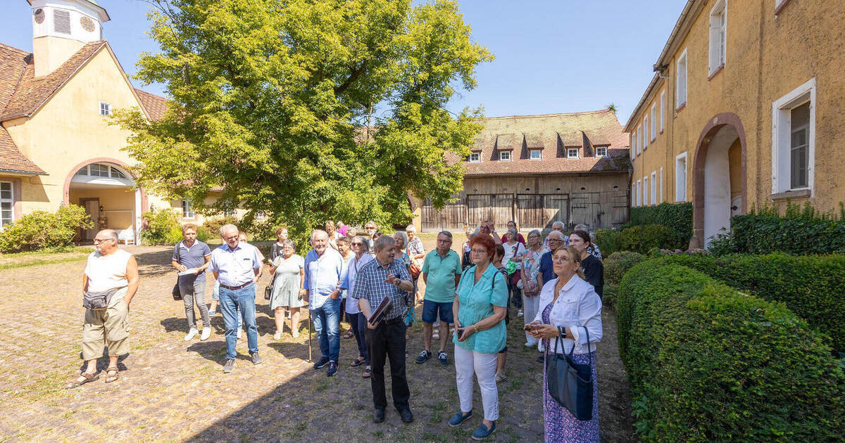 A hidden gem in Bauschlott: What lies behind the castle walls