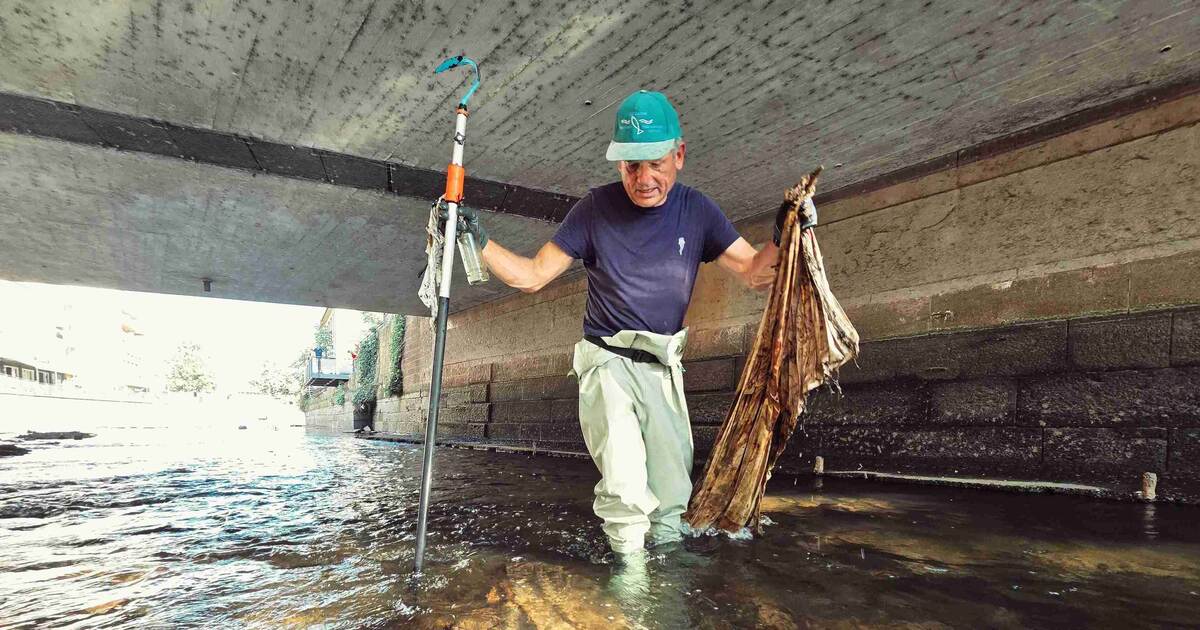 A catch for the bin: Fishermen clean the Enz in Pforzheim