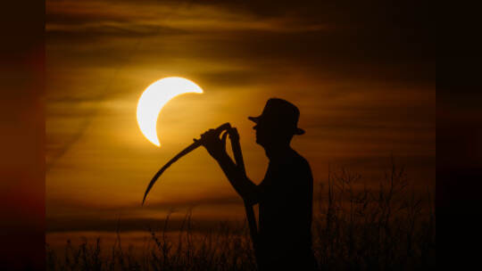 Sonnenfinsternis - Brandenburg
