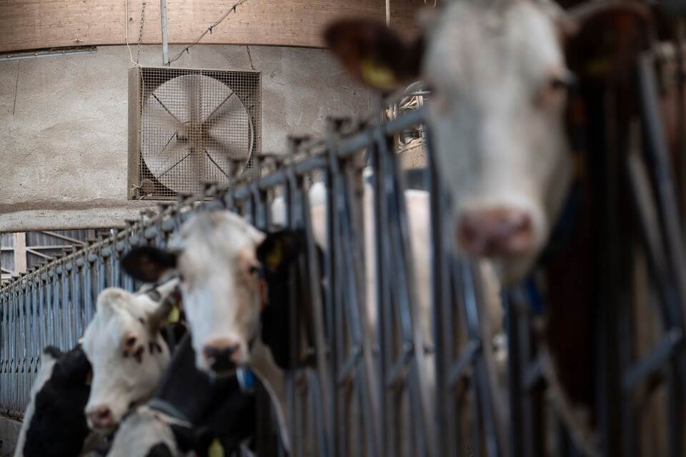 Trockenheit in der Landwirtschaft Trockenheit in der Landwirtschaft