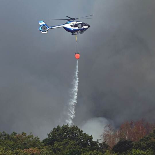 Waldbrand im Hürtgenwald Waldbrand im Hürtgenwald