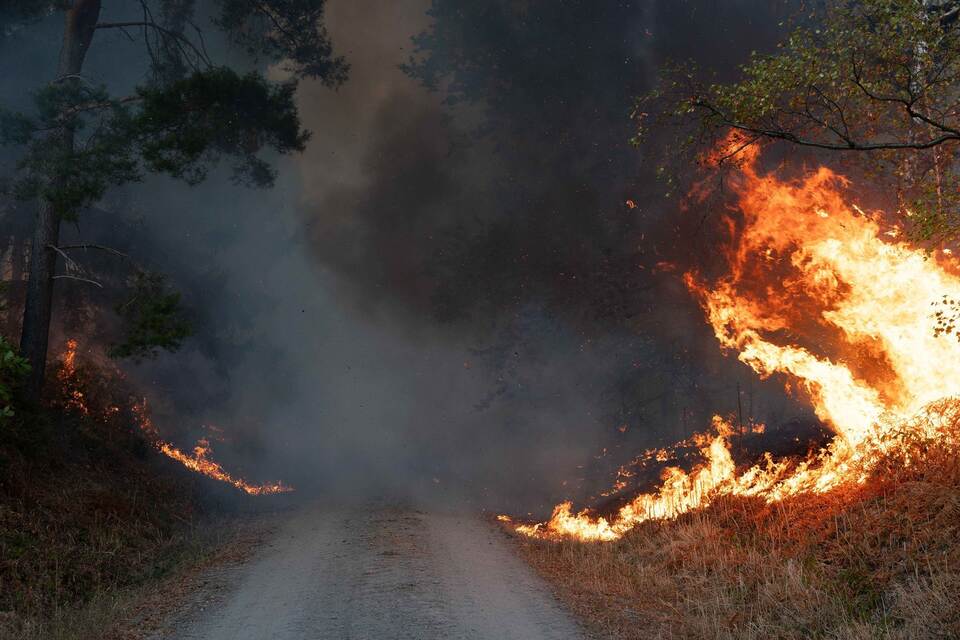 Waldbrand im Hürtgenwald Waldbrand im Hürtgenwald