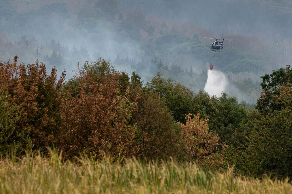 Waldbrand im Hürtgenwald Waldbrand im Hürtgenwald