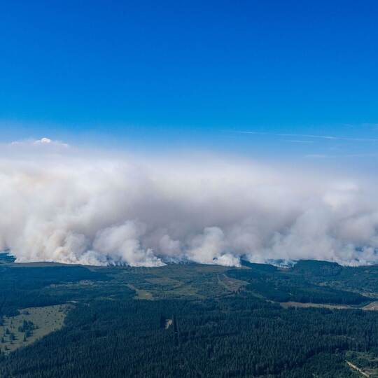 Waldbrand in Belgien