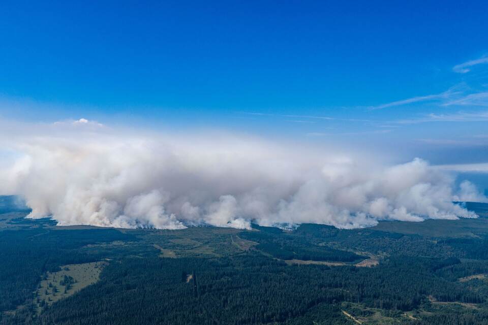 Waldbrand in Belgien Waldbrand in Belgien