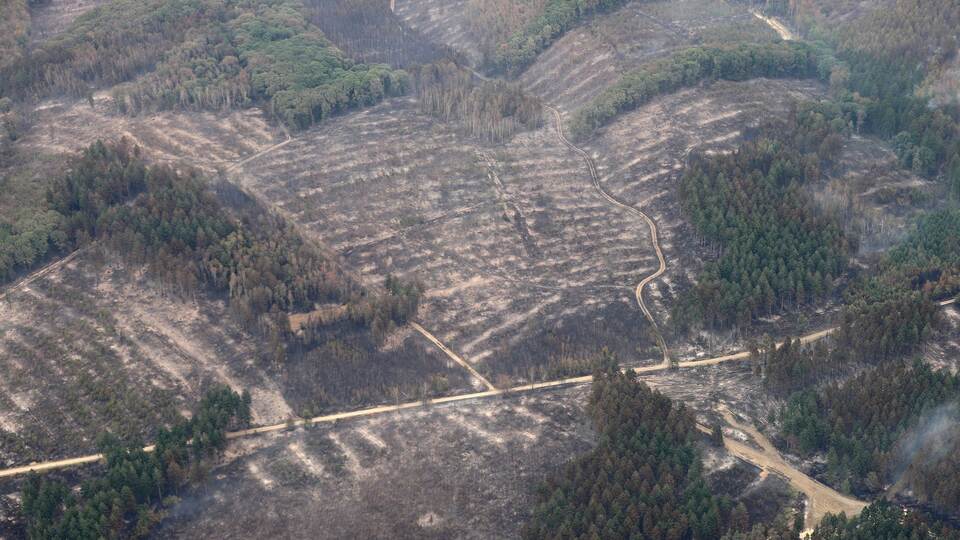 Waldbrand im Hürtgenwald Waldbrand im Hürtgenwald