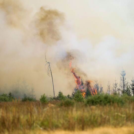 Waldbrand in Belgien
