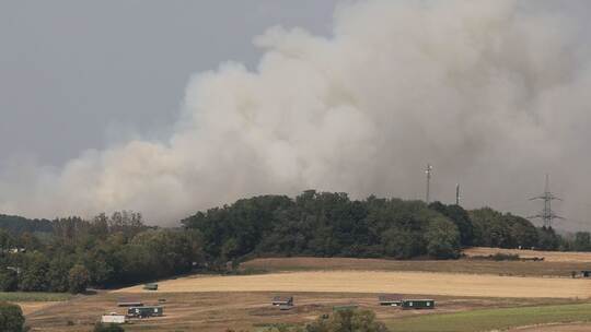 Waldbrand im Saarland Waldbrand im Saarland