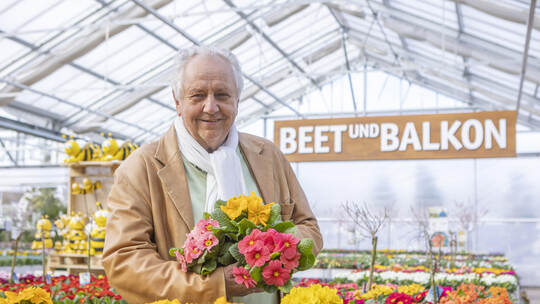 Joachim Streb inmitten seiner geliebten Pflanzenwelt. Meyer Joachim Streb Gartencenter Frühling