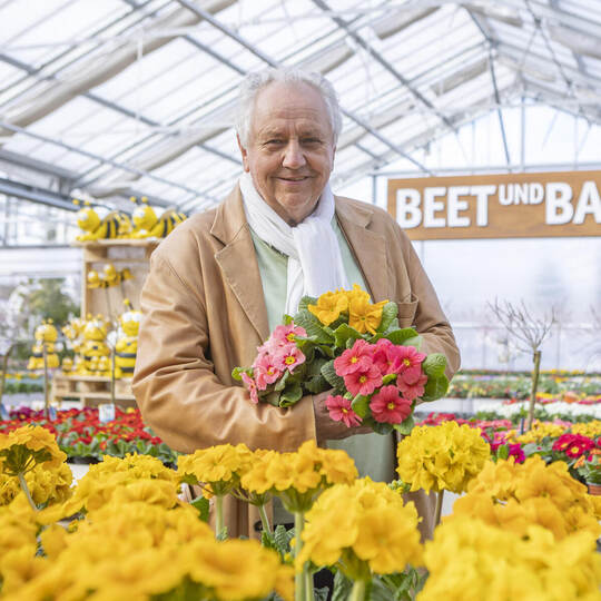 Joachim Streb Gartencenter Frühling