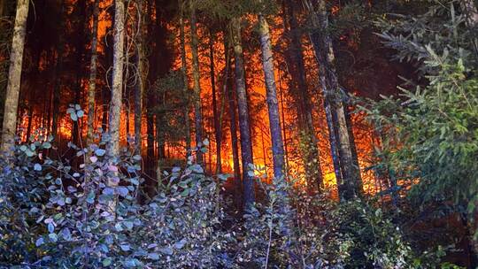 Waldbrand bei Schramberg Waldbrand bei Schramberg