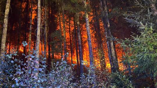 Waldbrand bei Schramberg