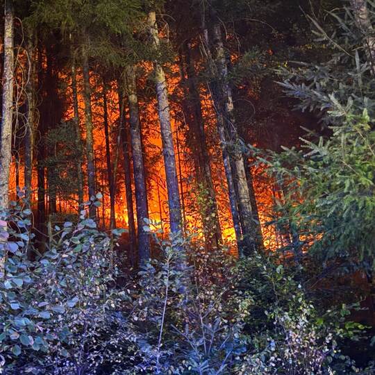 Waldbrand bei Schramberg