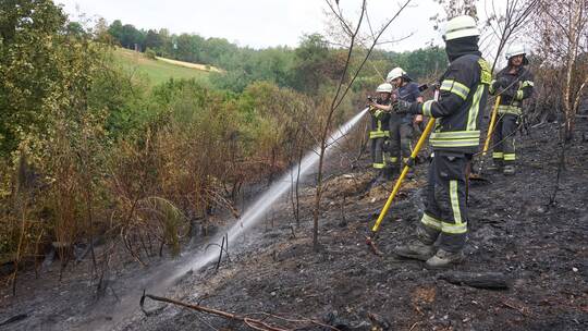 Waldbrand im Westerwald