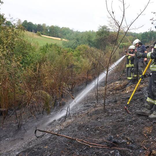 Waldbrand im Westerwald