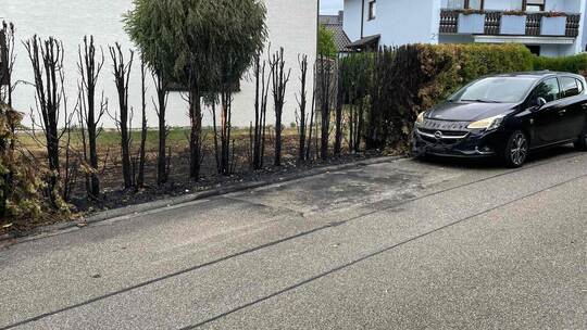 Vom Feuer versehrt sind die Hecken und der Corsa, der hinter dem ausgebrannten Smart geparkt hat. Am Montagabend wird die Feuerw