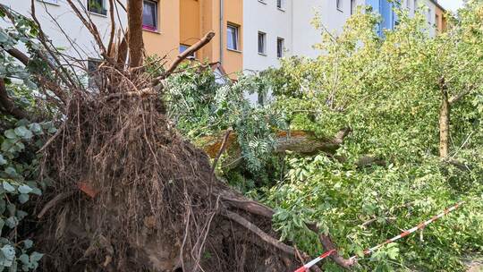 DWD bestätigt Tornado in Fürstenwalde in Brandenburg DWD bestätigt Tornado in Fürstenwalde in Brandenburg