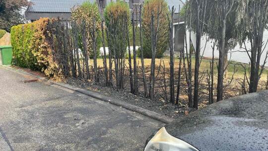 Verbrannt sind die Hecken. Dort, wo der Smart in der Kelterstraße Feuer gefangen hat, ist ein schwarzer Brandfleck auf der Straß