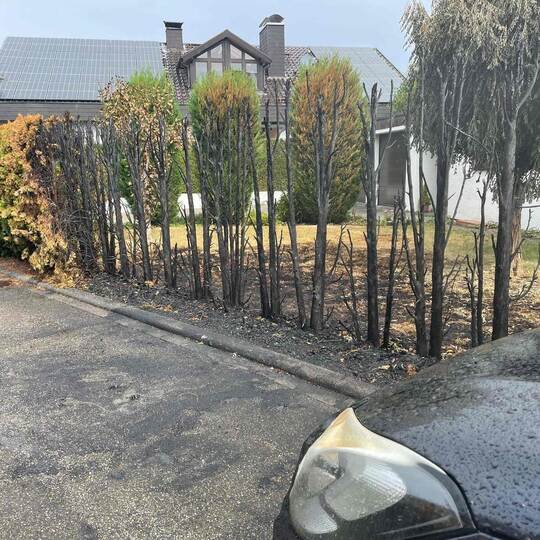 Verbrannt sind die Hecken. Dort, wo der Smart in der Kelterstraße Feuer gefangen hat, ist ein schwarzer Brandfleck auf der Straß