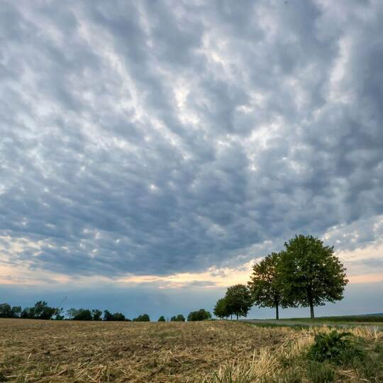Wetter in Baden-Württemberg