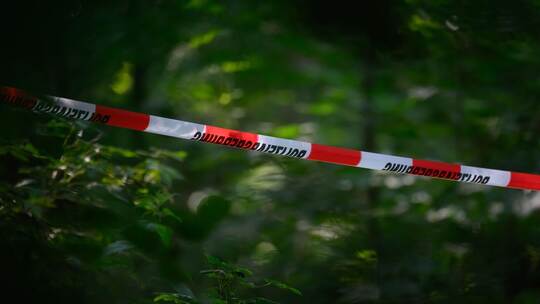 Absperrband im Wald Absperrband im Wald