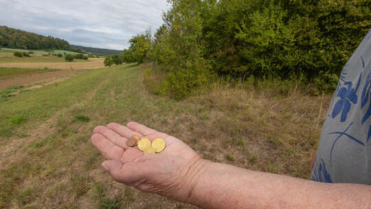 Grundsteuer Kämpfelbach