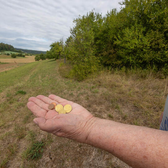 Grundsteuer Kämpfelbach