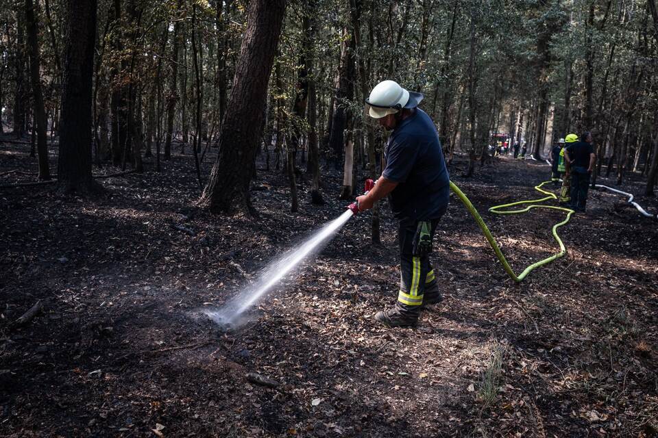 Waldbrand im Hürtgenwald Waldbrand im Hürtgenwald