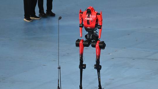 World Humanoid Robot Games World Humanoid Robot Games