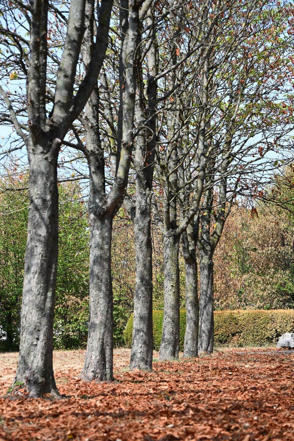Trockenheit in Baden-Württemberg Trockenheit in Baden-Württemberg