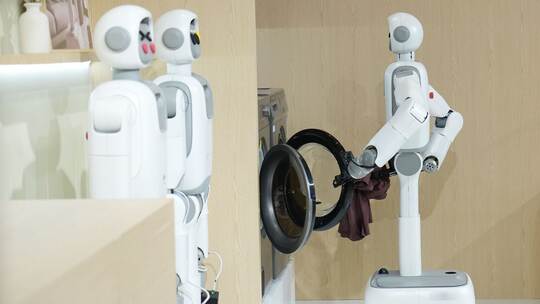 Haushaltsroboter Haushaltsroboter