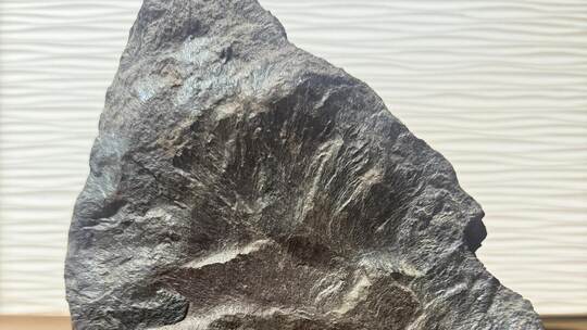 Die Familie glaubt, einen Meteoriten als Türstopper im Gartenhaus zu haben. Foto: Zeyad M.