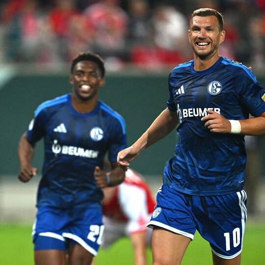 Hallescher FC - FC Schalke 04