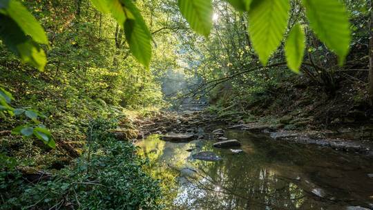 Wetter in Baden-Württemberg